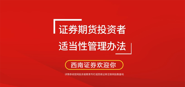 西南证券 西南证券